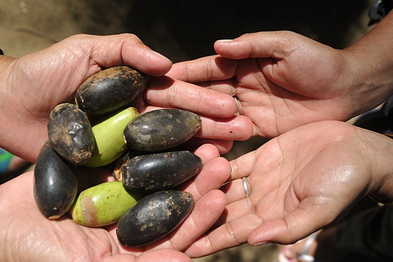 Photo credit: Kerryn Benbow/Caritas Australia.